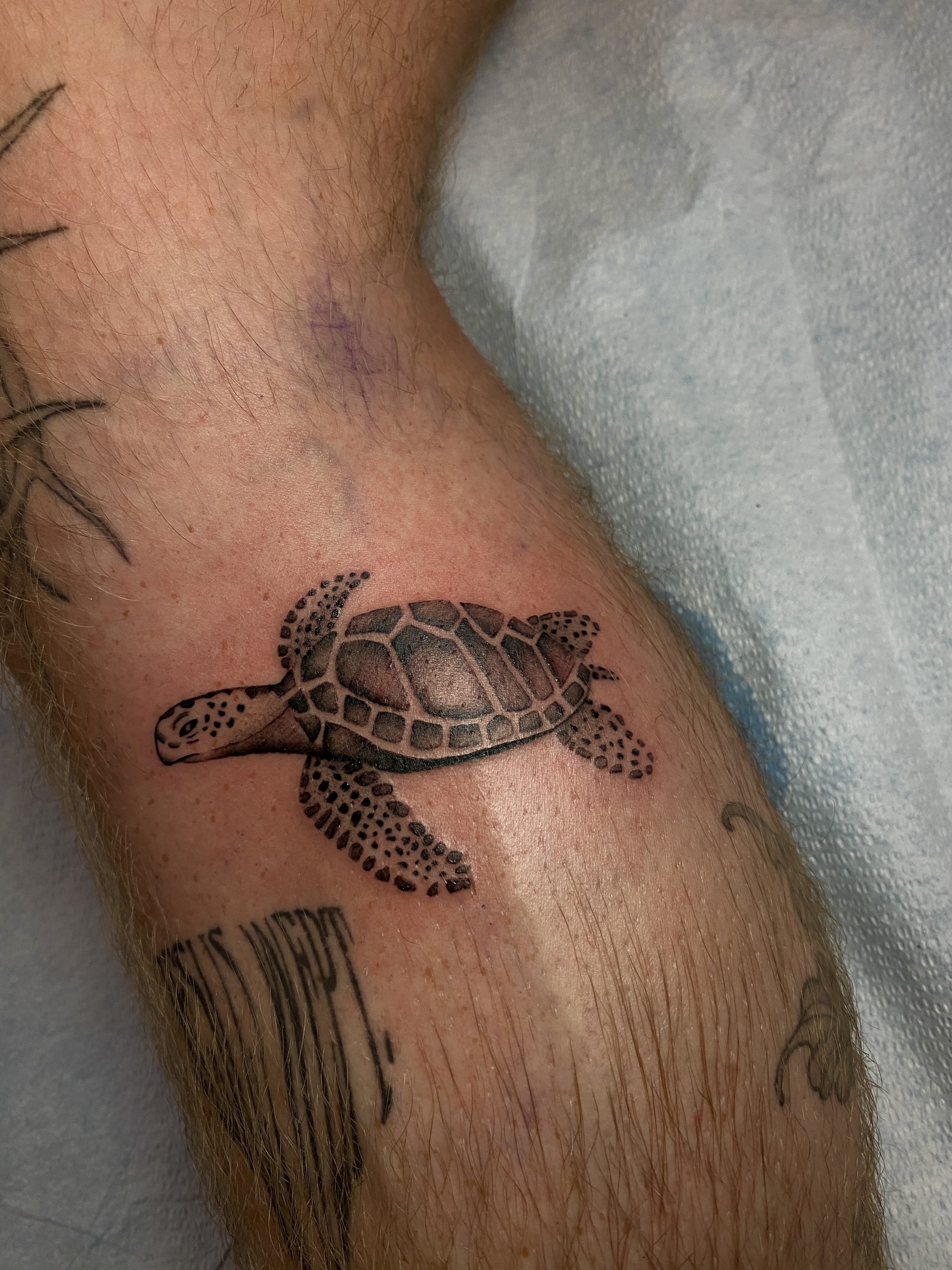 Lily tattoo work at Beach Park Tattoo